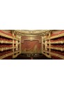 Grand Opera - excursion with English speaking guide.