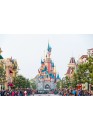 Disneyland Cheap tour in mini-groups