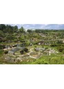 Parks "Safari Tuar" and "France Miniature" -  Cheap tour in mini-groups
