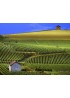 Champagne: Reims and Épernay - cheap tour