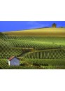 Champagne: Reims and Épernay - group tour 