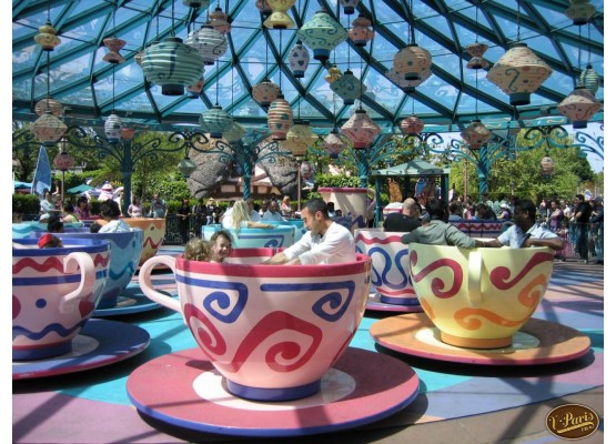Disneyland tickets in 2 PARK 1 day