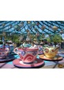 Disneyland tickets in 2 PARK 1 day