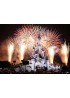 Disneyland tickets in 1 PARK 1 day