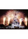 Disneyland tickets in 1 PARK 1 day