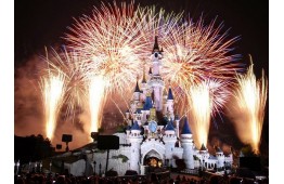 Transfer from Paris to Disneyland