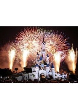 Transfer from Paris to Disneyland