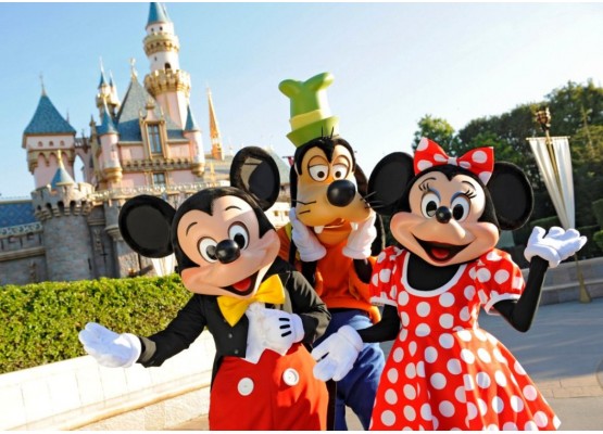 Disneyland tickets in 1 PARK 1 day