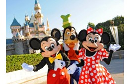 Disneyland Cheap tour in mini-groups
