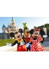 Disneyland Cheap tour in mini-groups