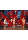 Crazy Horse Cabaret in Paris