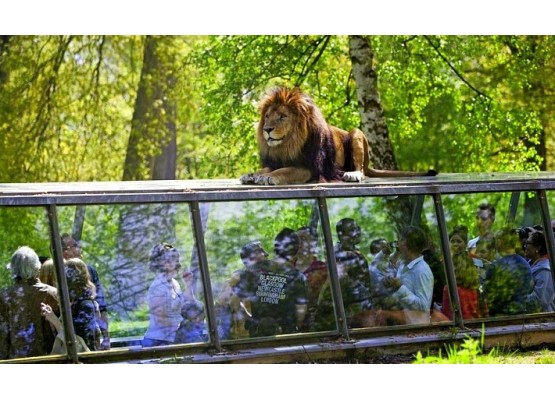 Parks "Safari Tuar" and "France Miniature" -  Cheap tour in mini-groups