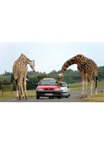 Parks "Safari Tuar" and "France Miniature"