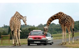 Parks "Safari Tuar" and "France Miniature"