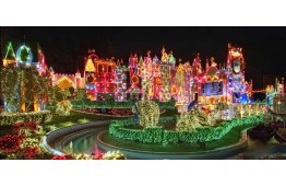 Disneyland tickets in 1 PARK 1 day