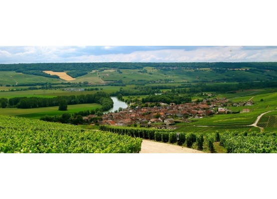 Champagne: Reims and Épernay - group tour 