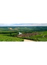 Champagne: Reims and Épernay - group tour 