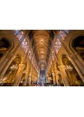 Notre Dame de Paris - historic сentre and cathedral